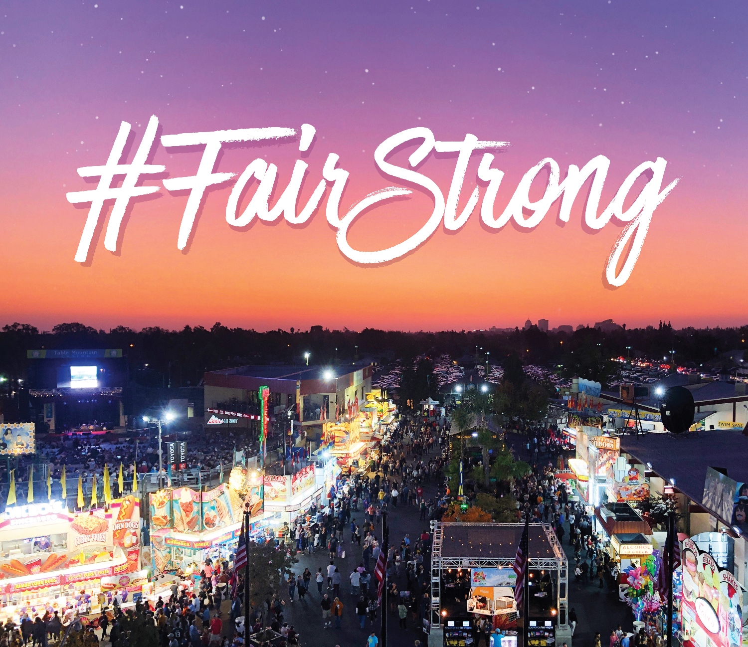 The Big Fresno Fair Blog