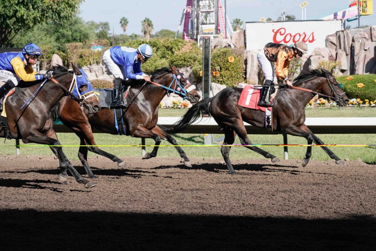 The Big Fresno Fair Blog