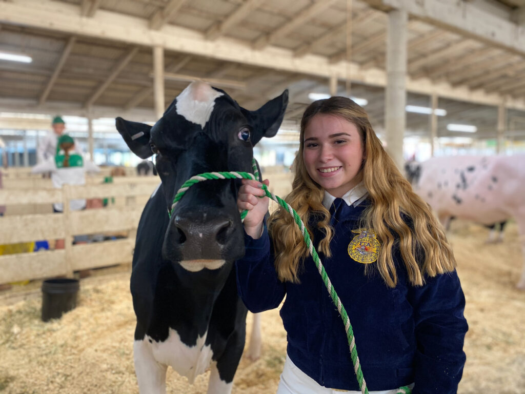FFA member showing Dairy Cattle 