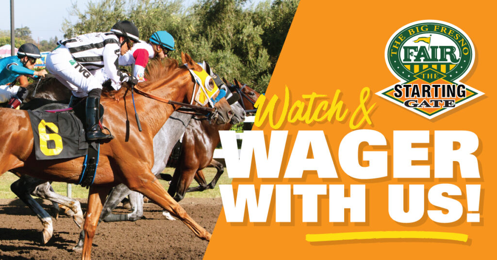 Watch & Wager Horse Racing