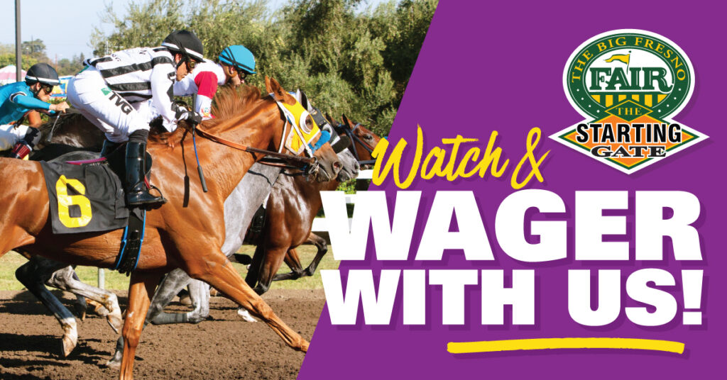 watch and wager with us - purple