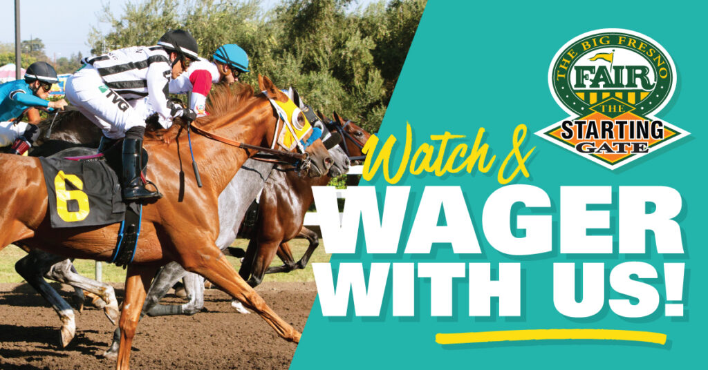 watch and wager with us - teal