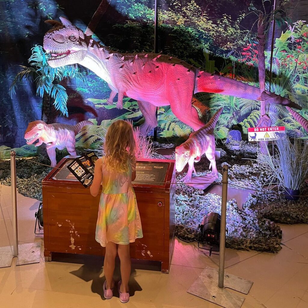 child looking at dinosaur exhibit