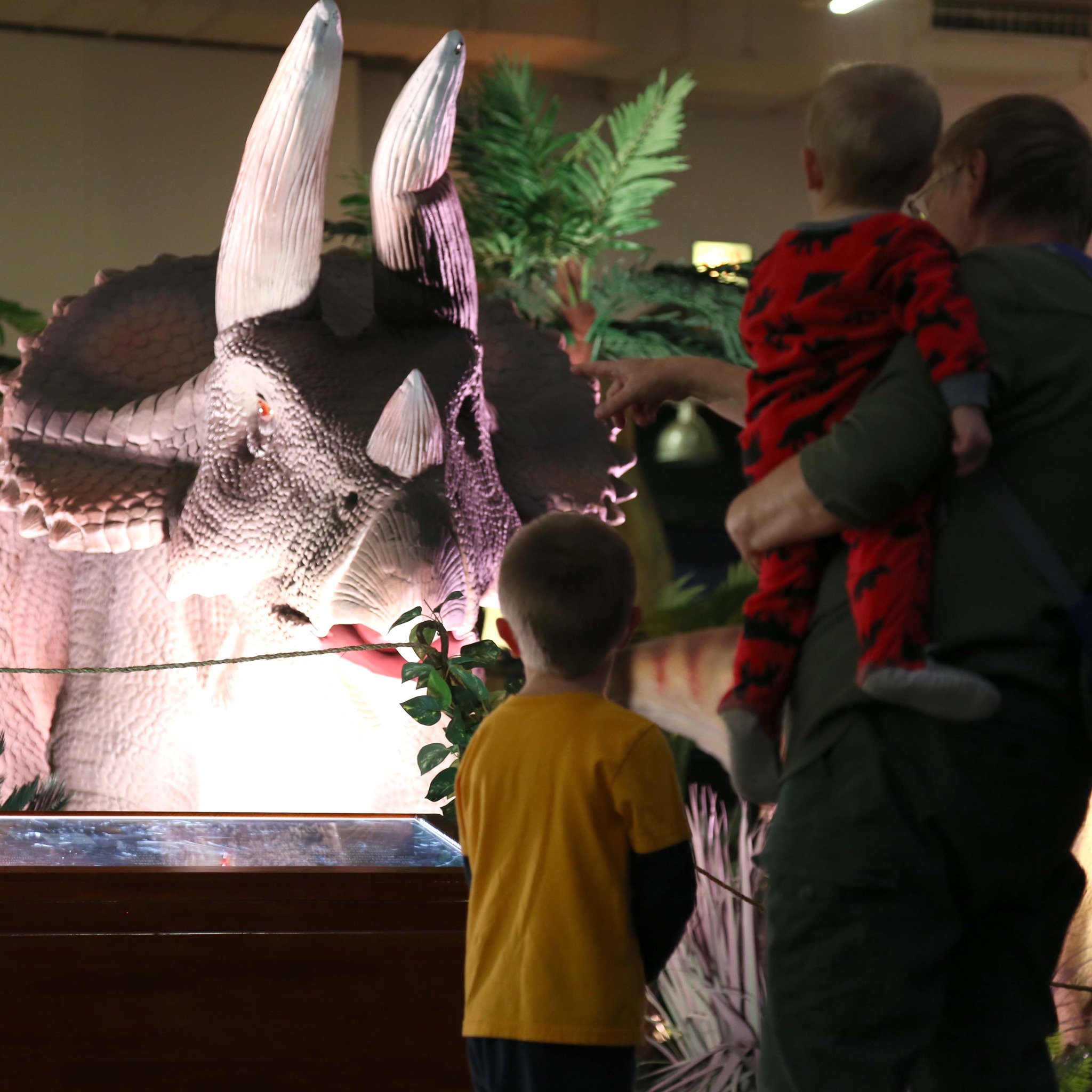 children looking at dinosaur exhibit