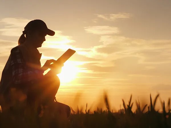 woman in a field reading 