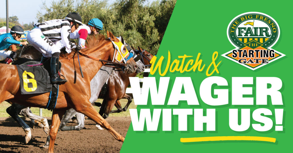 Watch and Wager With Us This Weekend! | November 21 – 24